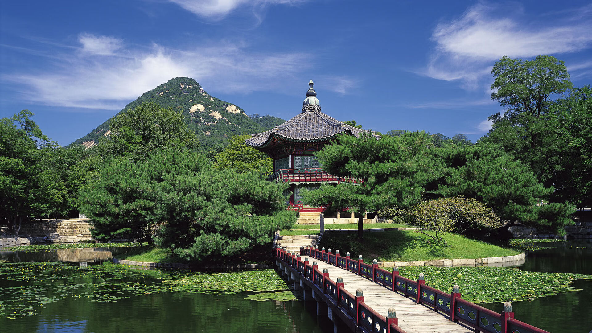 布克跨界救主？鹈鹕加时险胜猛龙背后的戏剧性转折